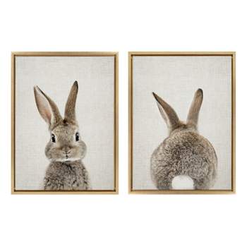 (Set of 2) 18" x 24" Sylvie Bunny Portrait And Tail Framed Canvas Set - Kate & Laurel All Things Decor