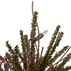 Northlight 1.5' Prelit Artificial Christmas Tree Warsaw Twig in Burlap Base - Clear Lights - 4 of 4