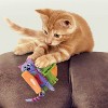 KONG Pull-a-Partz Purrito Cat Animal Plush Toy - 3 of 4