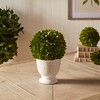 Plum & Post Boxwood Ball Topiary In Pot Large - 3 of 3