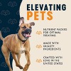 Finley's Happy Belly Soft Chew Benefit with Peanut Butter and Pumpkin Bar Dog Treat - 16oz - 4 of 4