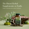 Gaia Herbs Oil of Oregano - Immune and Antioxidant Support Supplement with Oregano Oil, Carvacrol, and Thymol - 3 of 4