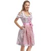 Women's Vintage 3-Piece Dress Costume Pink Floral Print Dress White Off Shoulder Crop Top Pink Embroidered Apron - 4 of 4
