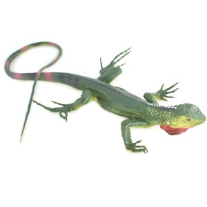 Collectible Wildlife Gifts | Iguana, High Quality, Hand Painted, Hard Rubber Lizard, Realistic Reptile, Toy Figure, Model, Gift,  15"  IM14 B654 - 1 of 4