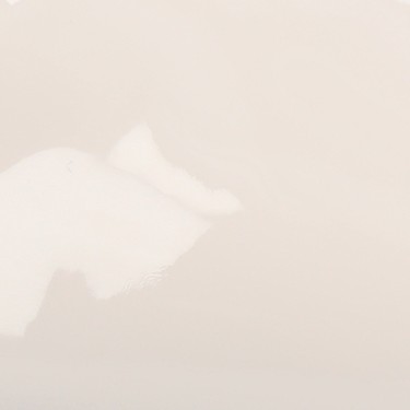 bone