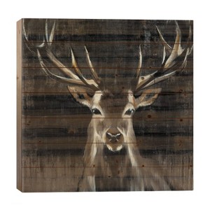 iCanvas 26" x 26" Young Buck Wood Print by Liz Jardine : UV-Cured, Rustic Wall Sign Panel - 1 of 3