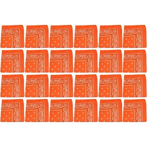 24 Pack Polyester Paisley Bandanas Bulk Pack for Group Activities - 1 of 4