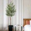 Boersma Oakpark Faux Olive Tree – Lifelike leaves and slender branches in a pot. Perfect for home décor with zero maintenance, year-round beauty. - 4 of 4