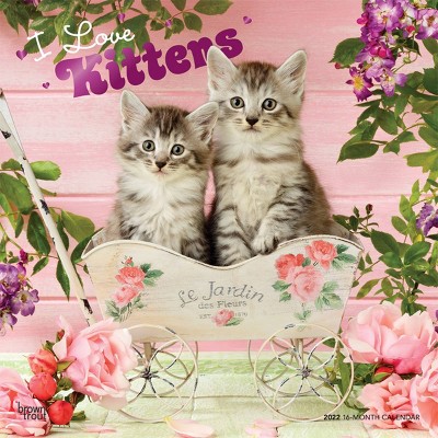 2022 Square Calendar I Love Kittens - BrownTrout Publishers Inc
