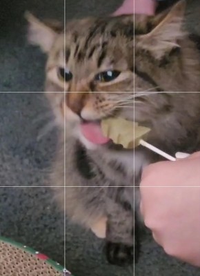 Guest review image 1 of 3, zoom in