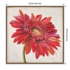 Amanti Art Red Gerber Daisy by Patricia Pinto Framed Canvas Wall Art - 4 of 4