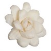 Vickerman 1-3" Natural Botanicals Assorted Natural Dried Sola Flower Head - 2 of 3