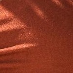 cinnamon shimmer