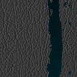 jacksonville jaguars