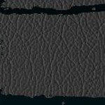 jacksonville jaguars