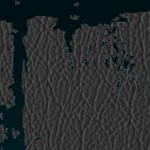 jacksonville jaguars