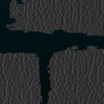 jacksonville jaguars