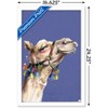 Trends International Snowtap - Camel Photobomb Framed Wall Poster Prints - 3 of 4