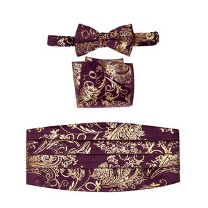 Gioberti Boy's Adjustable Satin and Paisley Cummerbund Set - 1 of 3