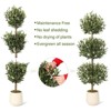 Artificial Olive Tree Realistic Decorative Tree with Olives and White Pot with Moss, UV and Water Resistant - 4 of 4