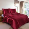 PiccoCasa 3 Pcs Soft Smooth Silky Breathable Duvet Cover Set 1 Quilt Cover, 2 Pillowcase - 4 of 4