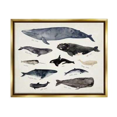 Stupell Industries Vintage Nautical Chart of Whales Ocean Life