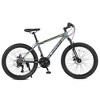 AENKYO 24-Inch Mountain Bike for Teens, 21-Speed Shimano Drivetrain,Daul Disc Brakes and Front Suspension MTB - Boys & Girls All-Terrain Bicycle - 2 of 4