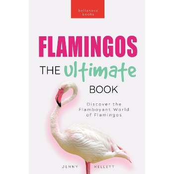 Flamingos - (Animal Books for Kids) by  Jenny Kellett (Paperback)