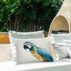 Stupell Industries Polly Parrot Portrait Outdoor Decorative Throw Pillow, 14 x 20 - 3 of 3