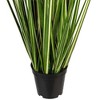 Green Evergold Grass Potted UV - 4 of 4