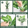 Aoibox Small Fake Plants Artificial Tropical Faux Plants Indoor Desk Plant for Home Office Kitchen Shelf Sage Green Decor - 4 of 4