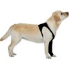 Suitical Recovery Single Sleeve for Dogs - Chest Circumference, Black - 3 of 4
