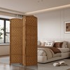Gulches 4-Panel Partition, Folding Privacy Screen in Warm Brown - 2 of 4