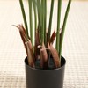 Artificial Palm in Pot Set, 5.5FT Faux Green Palm Plant, Fake Palm Tree for Home Decor (Set of 2) - 4 of 4