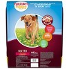 Kibbles 'n Bits Bistro Oven Roasted Beef Flavor with Vegetable and Apple Dry Dog Food - 45lbs - image 2 of 4
