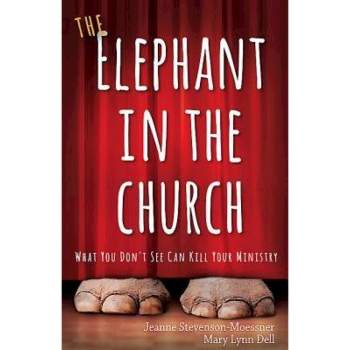 The Elephant in the Church - by  Jeanne Stevenson-Moessner & Mary Lynn Dell (Paperback)