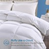APSMILE Twin Size Feather Down Comforter All Season 100% Organic Cotton Duvet Insert Medium Warm Bed Comforter (68x90, White) - 3 of 4