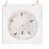 Gallerie II Sand Dollar Ceramic Coastal Ornament - 3 of 3