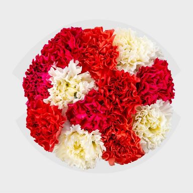 Mother's Day Carnation Bunch - Good Little Garden™