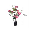 Pack of 2 Artificial Peony Flower Trees, 70 cm Artificial Peony Plant in Pot, Table Top Decoration - 4 of 4