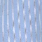 Blue Striped