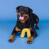 PetShop by Fringe Studio Color Me Happy Dog Horseshoe Rubber Toy - Yellow - 4 of 4