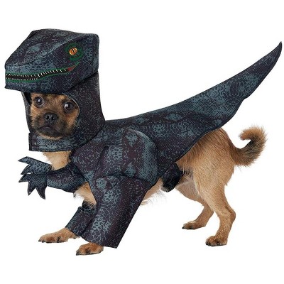 dog costumes