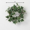 Sullivans Artificial Ivy Twig Wreath - 3 of 3