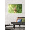 Trends International Fruits Basket - Kyo Soma Framed Wall Poster Prints - 2 of 4