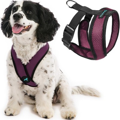 Gooby Comfort X Head in Harness Purple, Small