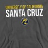 University of California-Santa Cruz Official Stacked Adult Pull-Over Hoodie - 2 of 4