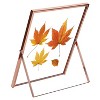 NewHome"2Pcs Rose Gold Metal Picture Frames 5x7 & 8x10, Floating Glass, Pressed Flower, Tabletop Display"Rose Gold - 3 of 4