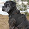 American River Ultra Choke Free Dog Harness, Black, XXL - 3 of 4
