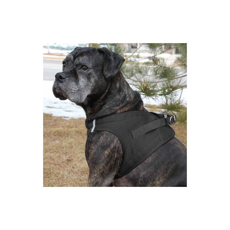 American River Ultra Choke Free Dog Harness, Black, XXL, 3 of 5